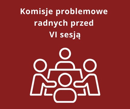 Komisje problemowe radnych przed VI sesją