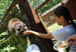 Udane urodziny Mini ZOO (zdjęcia)