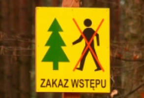 Zakaz wstępu do lasu