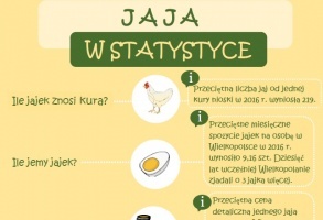 Jaja w statystyce