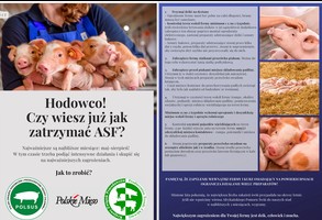 Hodowco! Czy wiesz już jak zatrzymać ASF?