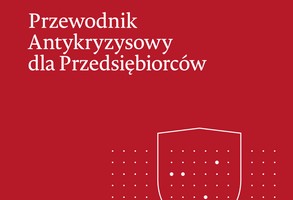 Przewodnik Antykryzysowy dla Przedsiebiorców