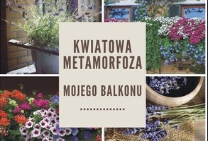 Kwiatowa metamorfoza domowego zakątka