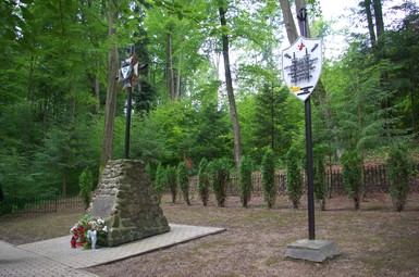 Zginął w drodze z Leszna do wolności