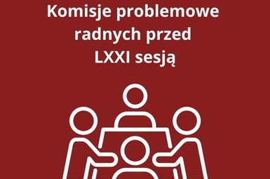 Komisje problemowe radnych przed sesją