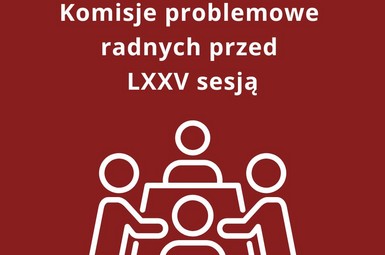 Komisje problemowe radnych przed sesją