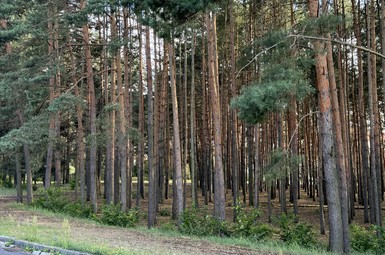 Dla bezpieczeństwa i poprawy warunków