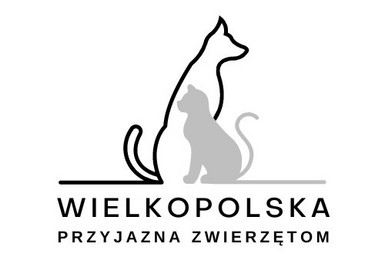 Wykonano prawie 100 zabiegów